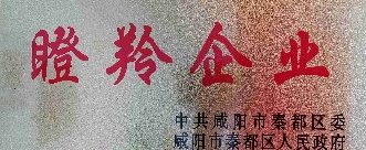 中科启航拟认定为2021年咸阳市瞪羚企业